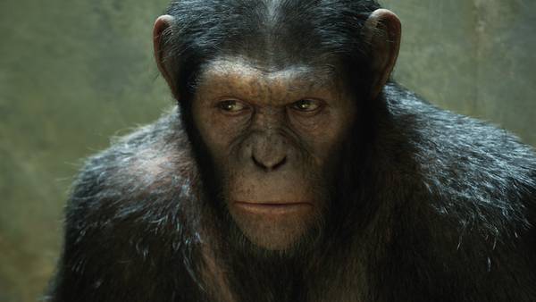 A New Planet Of The Apes movie is coming