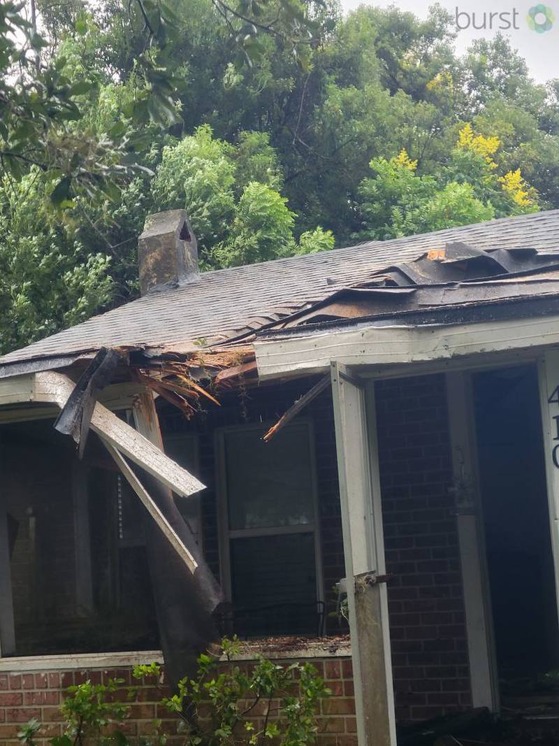Tree through home in Green Gove Springs