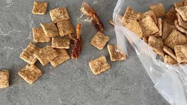 Cinnamon Toast Crunch-Flavored . . . Bacon?!