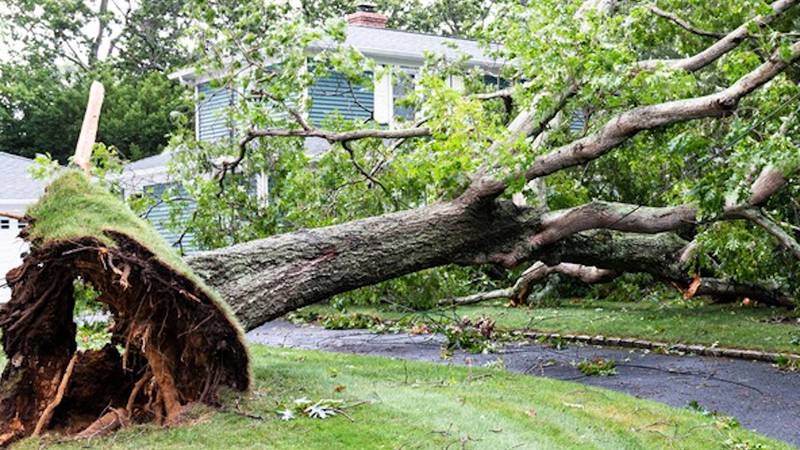 Tornado; Livonia