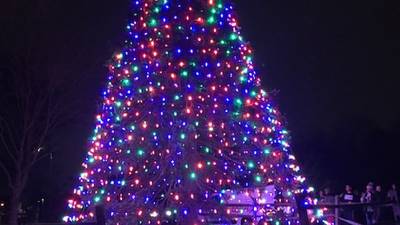 BLI @ Brookhaven Town Tree Lighting 12/6