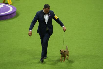 Westminster Kennel Club