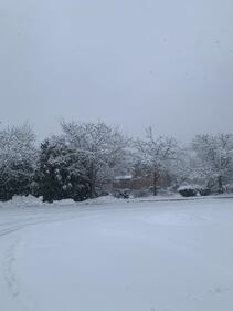 Check out all the photos of the snow you sent us on December 13th and 14th, 2025. Want to see your photo featured? Upload it now inside our phone app.