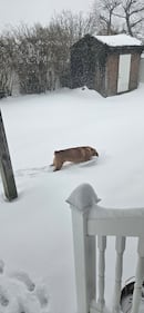 Check out all the snow photos you sent us on January 25th, 2026.