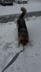 Check out all the photos of the snow you sent us on December 13th and 14th, 2025. Want to see your photo featured? Upload it now inside our phone app.