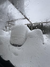 Check out all the snow photos you sent us on February 23rd, 2026. Want to see your photo featured? Upload it now inside our smartphone app.