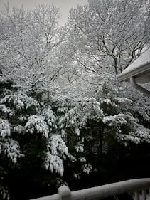 Check out all the photos of the snow you sent us on December 13th and 14th, 2025. Want to see your photo featured? Upload it now inside our phone app.