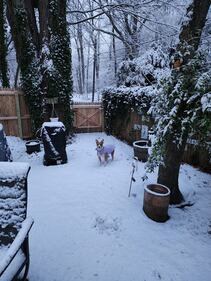 Check out all the photos of the snow you sent us on December 13th and 14th, 2025. Want to see your photo featured? Upload it now inside our phone app.