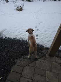 Check out all the photos of the snow you sent us on December 13th and 14th, 2025. Want to see your photo featured? Upload it now inside our phone app.