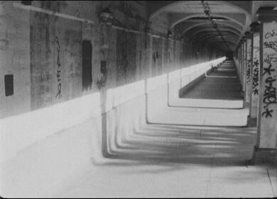 “The Lighted Field” (1987)