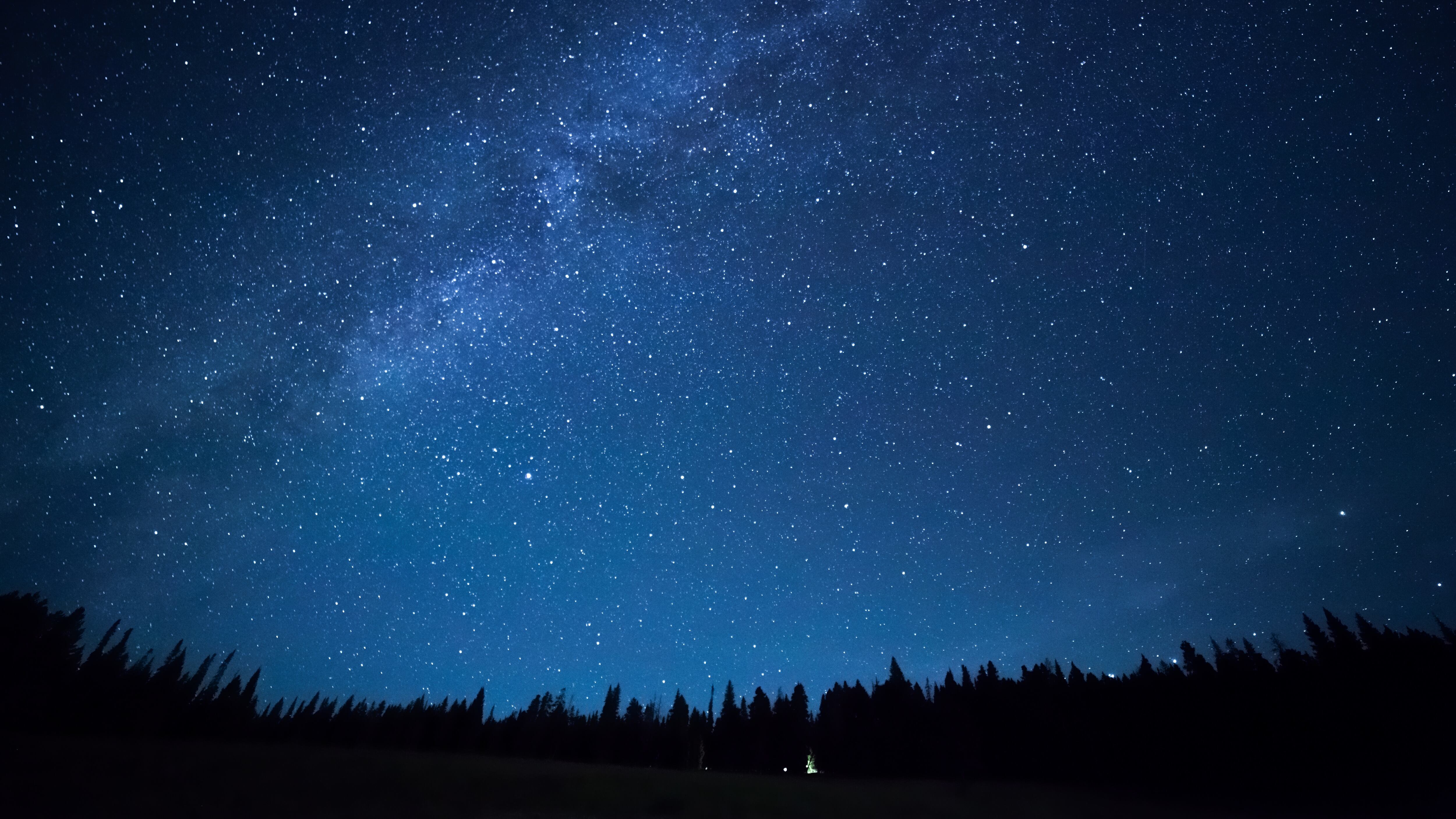 Blue dark night sky with many stars above field of trees. Yellowstone park. Milkyway cosmos background