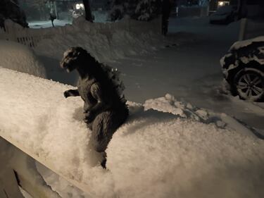Check out all the snow photos you sent us on February 23rd, 2026. Want to see your photo featured? Upload it now inside our app.