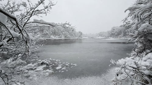 Check out all the photos of the snow you sent us on December 13th and 14th, 2025. Want to see your photo featured? Upload it now inside our phone app.