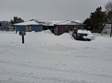 Check out all the snow photos you sent us on February 23rd, 2026. Want to see your photo featured? Upload it now inside our smartphone app.