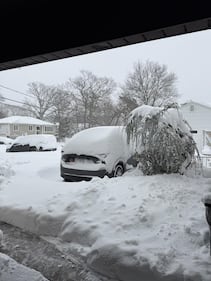 Check out all the snow photos you sent us on February 23rd, 2026. Want to see your photo featured? Upload it now inside our smartphone app.