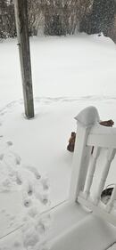 Check out all the snow photos you sent us on January 25th, 2026.