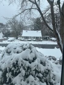 The view across the street from Sue in Centereach