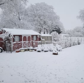 Check out all the photos of the snow you sent us on December 13th and 14th, 2025. Want to see your photo featured? Upload it now inside our phone app.