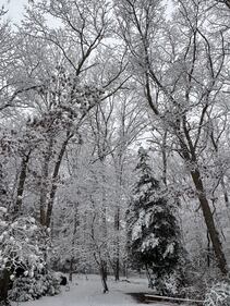 Check out all the photos of the snow you sent us on December 13th and 14th, 2025. Want to see your photo featured? Upload it now inside our phone app.