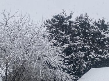 Check out all the photos of the snow you sent us on December 13th and 14th, 2025. Want to see your photo featured? Upload it now inside our phone app.