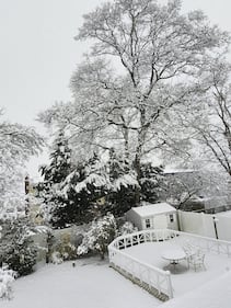 Check out all the photos of the snow you sent us on December 13th and 14th, 2025. Want to see your photo featured? Upload it now inside our phone app.