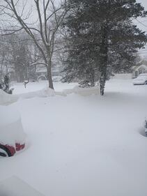 Check out all the snow photos you sent us on February 23rd, 2026. Want to see your photo featured? Upload it now inside our app.