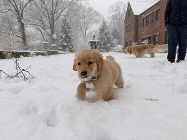 Check out all the photos of the snow you sent us on December 13th and 14th, 2025. Want to see your photo featured? Upload it now inside our phone app.