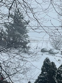 Check out all the snow photos you sent us on January 25th, 2026.