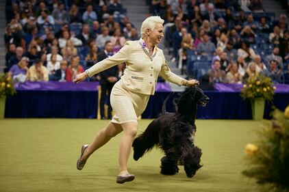 Westminster Kennel Club