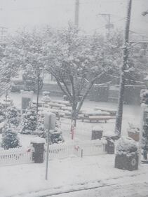 Check out all the photos of the snow you sent us on December 26th and 27th, 2025. Want to see your photo featured? Upload it now inside the 106.1 BLI App.