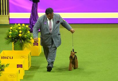 Westminster Kennel Club