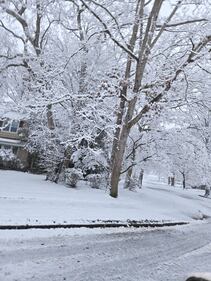 Check out all the photos of the snow you sent us on December 13th and 14th, 2025. Want to see your photo featured? Upload it now inside our phone app.