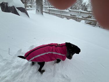 Check out all the snow photos you sent us on February 23rd, 2026. Want to see your photo featured? Upload it now inside our smartphone app.