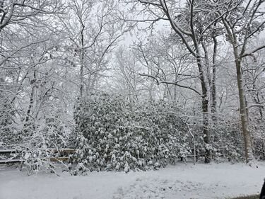 Check out all the photos of the snow you sent us on December 13th and 14th, 2025. Want to see your photo featured? Upload it now inside our phone app.