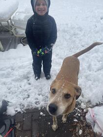 Check out all the photos of the snow you sent us on December 13th and 14th, 2025. Want to see your photo featured? Upload it now inside our phone app.