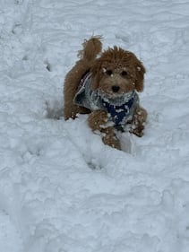 Check out all the photos of the snow you sent us on December 13th and 14th, 2025. Want to see your photo featured? Upload it now inside our phone app.