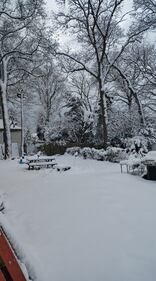 Check out all the photos of the snow you sent us on December 13th and 14th, 2025. Want to see your photo featured? Upload it now inside our phone app.