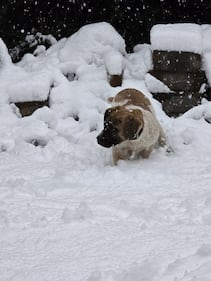 Check out all the photos of the snow you sent us on December 13th and 14th, 2025. Want to see your photo featured? Upload it now inside our phone app.