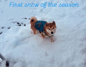 Check out all the photos of the snow you sent us on December 13th and 14th, 2025. Want to see your photo featured? Upload it now inside our phone app.