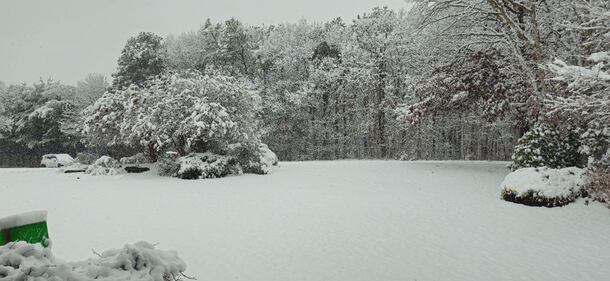 Check out all the photos of the snow you sent us on December 13th and 14th, 2025. Want to see your photo featured? Upload it now inside our phone app.