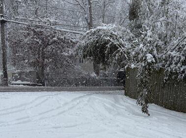 Check out all the photos of the snow you sent us on December 13th and 14th, 2025. Want to see your photo featured? Upload it now inside our phone app.