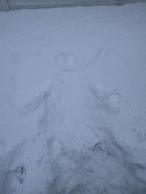 Check out all the photos of the snow you sent us on December 13th and 14th, 2025. Want to see your photo featured? Upload it now inside our phone app.