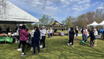 106.1 BLI & 102.3 WBAB at the Walk To Cure Arthritis on May 4th, 2024